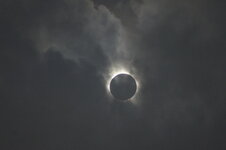 IMG_9824.jpeg