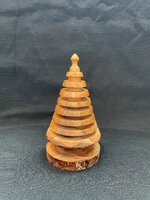 Kims tree 2.jpg