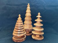 Kims tree 5.jpg