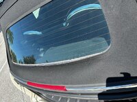 IMG_2454.jpeg