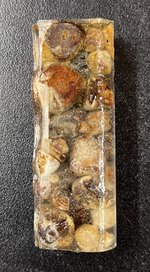 IMG_8574.jpeg