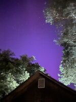 IMG_2936.jpeg