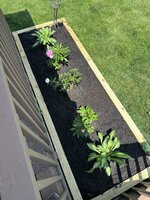 IMG_4473.jpeg