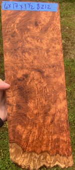 IMG_6313.jpeg