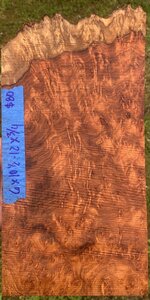 IMG_6317.jpeg