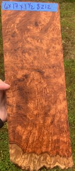 IMG_6313.jpeg