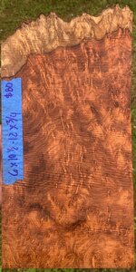 IMG_6317.jpeg