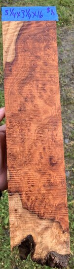 IMG_6362.jpeg