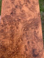 IMG_6369.jpeg