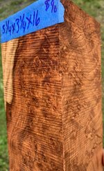 IMG_6370.jpeg