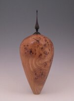 elm-burl-HF-1.jpg