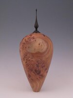 elm-burl-HF-2.jpg