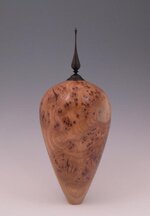 elm-burl-HF-3.jpg