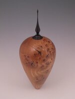elm-burl-HF-4.jpg