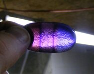 Purples.JPG