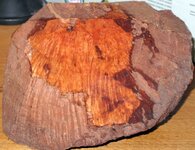IMG_0996.jpg