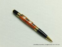 CIMG1178(gimp).JPG