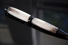 Pens - 10-15-10 Formosan Sike Deer Antler 2.jpg