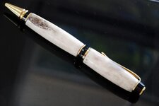 Pens - 10-15-10 Formosan Sike Deer Antler 4.jpg