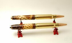 Pinecone 308 013.jpg