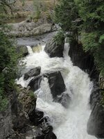 DSC09885 (Medium).JPG