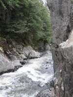 DSC09889 (Medium).JPG