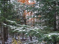 DSC09904 (Medium).JPG