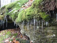 DSC09908 (Medium).JPG