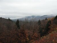 DSC09923 (Medium).JPG