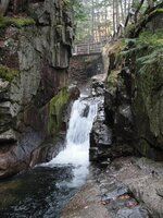 DSC09924 (Medium).JPG