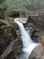 DSC09926 (Medium).JPG