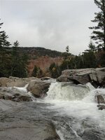 DSC09937 (Medium).JPG