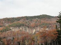 DSC09940 (Medium).JPG