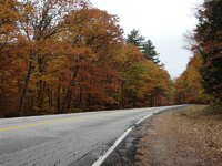 DSC09943 (Medium).JPG