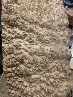 IMG_6673.jpeg