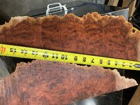 IMG_6692.jpeg
