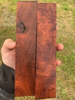 IMG_6679.jpeg