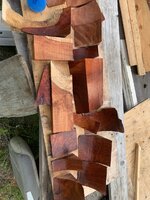 IMG_6695.jpeg