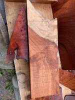 IMG_6696.jpeg