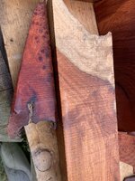 IMG_6697.jpeg