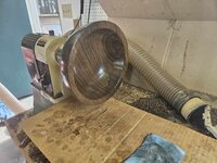 Walnut 2a.jpg
