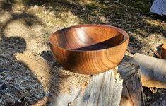 SB Elm 01a.jpg