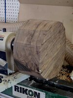Walnut 3a.jpg