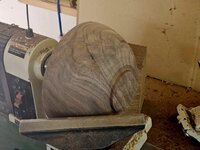 Walnut 3b.jpg