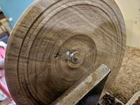 Walnut 3d.jpg