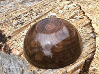 Walnut 3j.jpg