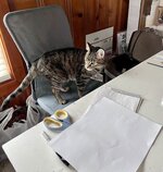 IMG_8205.jpeg