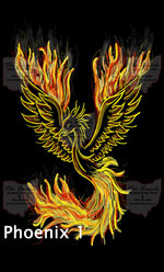 phoenix-Sierra Sized -Public.jpg
