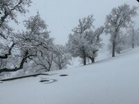 IMG_5550.jpeg
