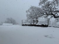 IMG_5551.jpeg